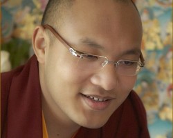 Ngài Karmapa Gửi Thông Điệp Về Vụ Đánh Bom Ở Bồ Đề Đạo Tràng