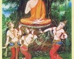 66 câu Thiền ngữ Phật học cho đời sống