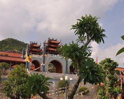 Thăm “Vườn Thư pháp” nơi chùa Ba Vàng 